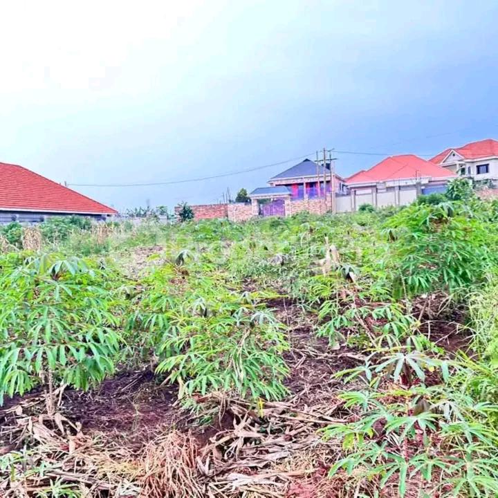 Land for sale Kira  Kampala Central Kampala Central - 4