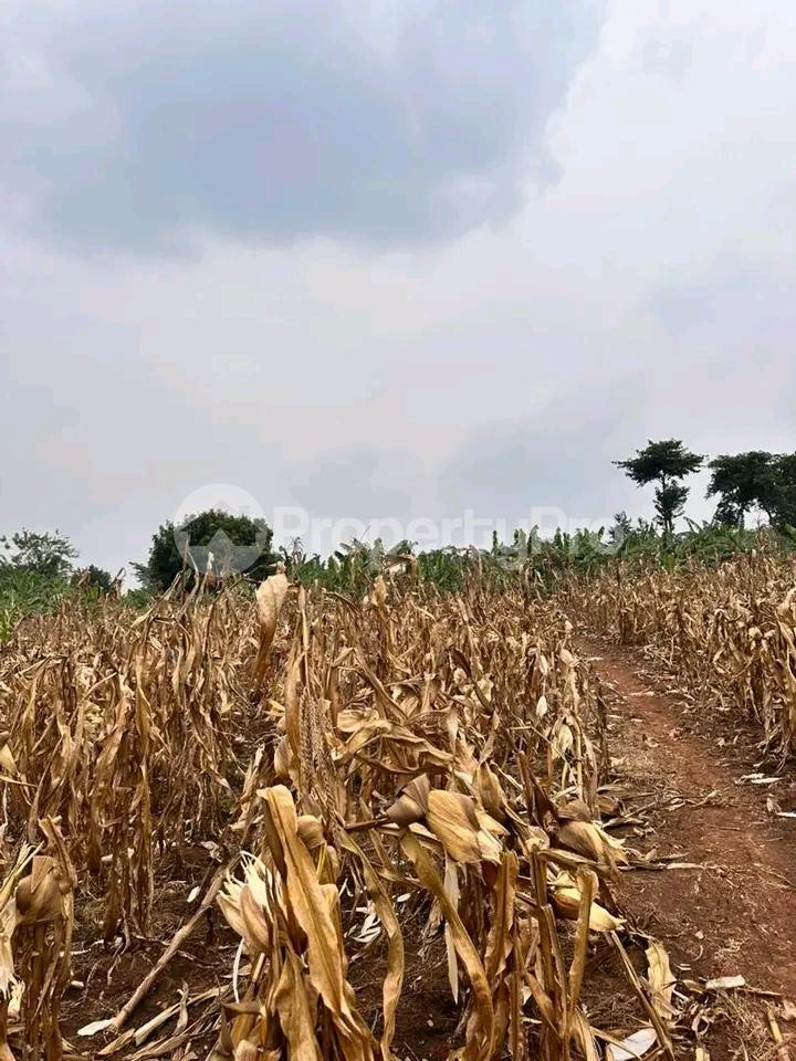 Land for sale Gayaza kiwenda Gayaza Wakiso Central - 1