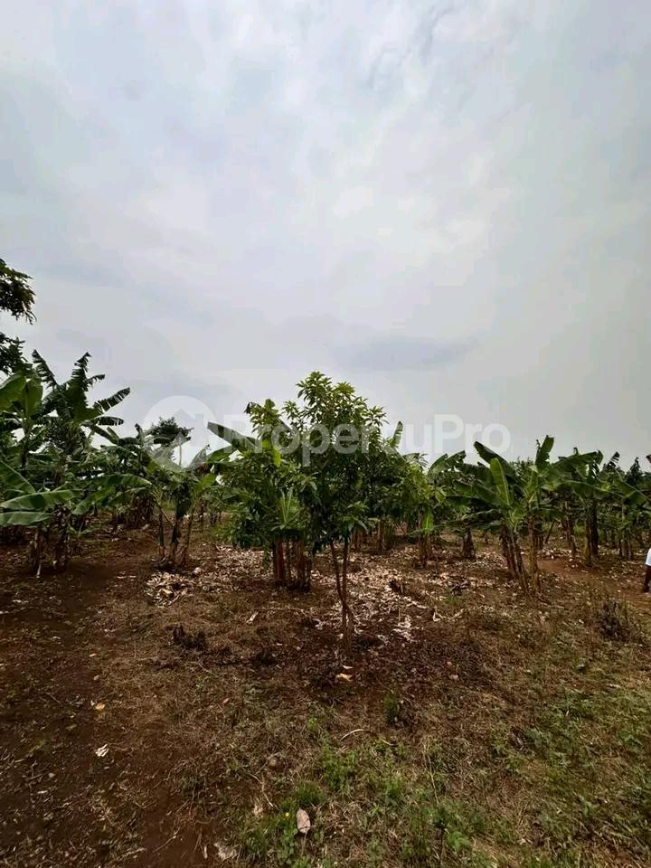 Land for sale Gayaza kiwenda Gayaza Wakiso Central - 0