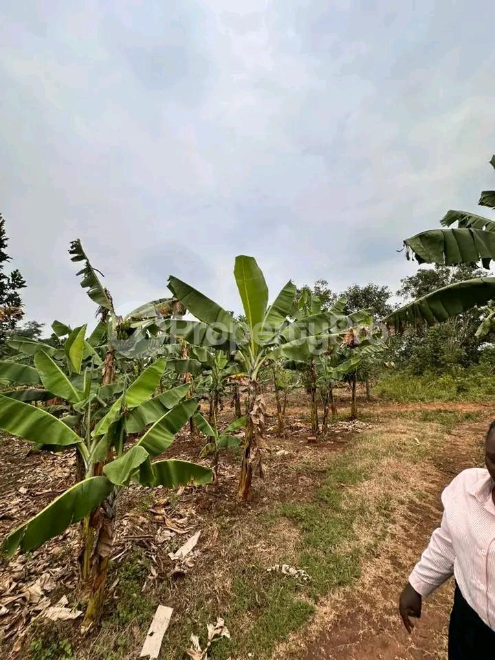 Land for sale Gayaza kiwenda Gayaza Wakiso Central - 6