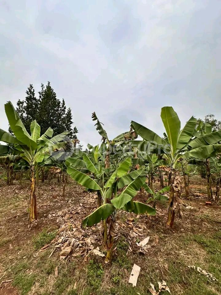 Land for sale Gayaza kiwenda Gayaza Wakiso Central - 5