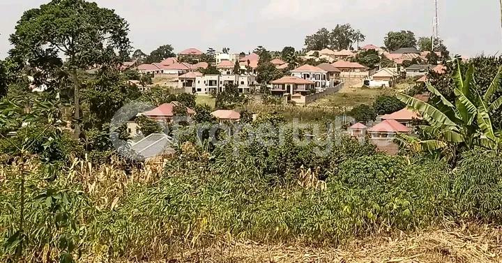 Land for sale Namugongo road  Kampala Central Kampala Central - 7