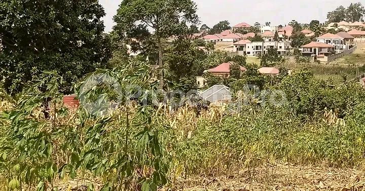 Land for sale Namugongo road  Kampala Central Kampala Central - 5