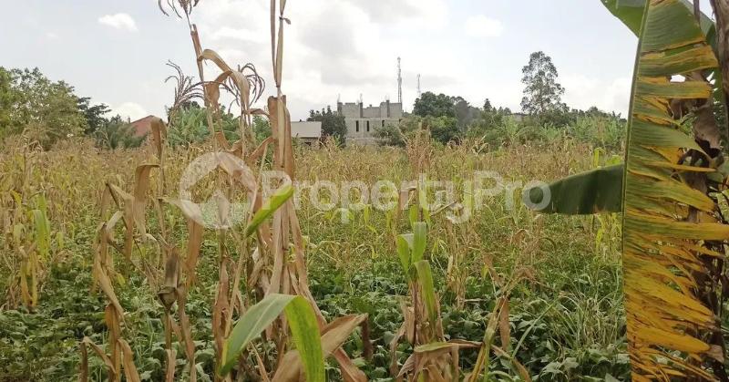 Land for sale Namugongo sonde hillview  Kampala Central Kampala Central - 7