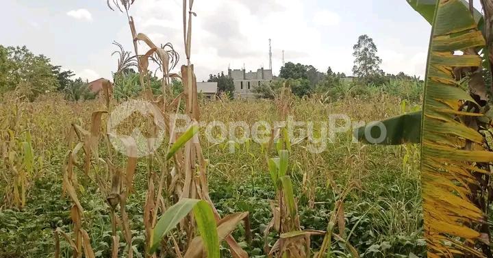 Land for sale Namugongo road  Kampala Central Kampala Central - 0