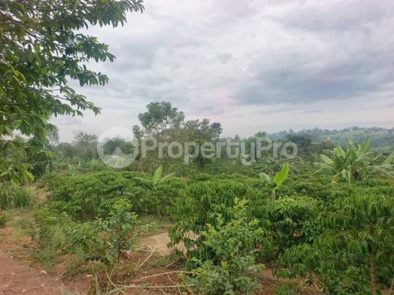 Land for sale Kyankwanzi Kyankwanzi Central - 0