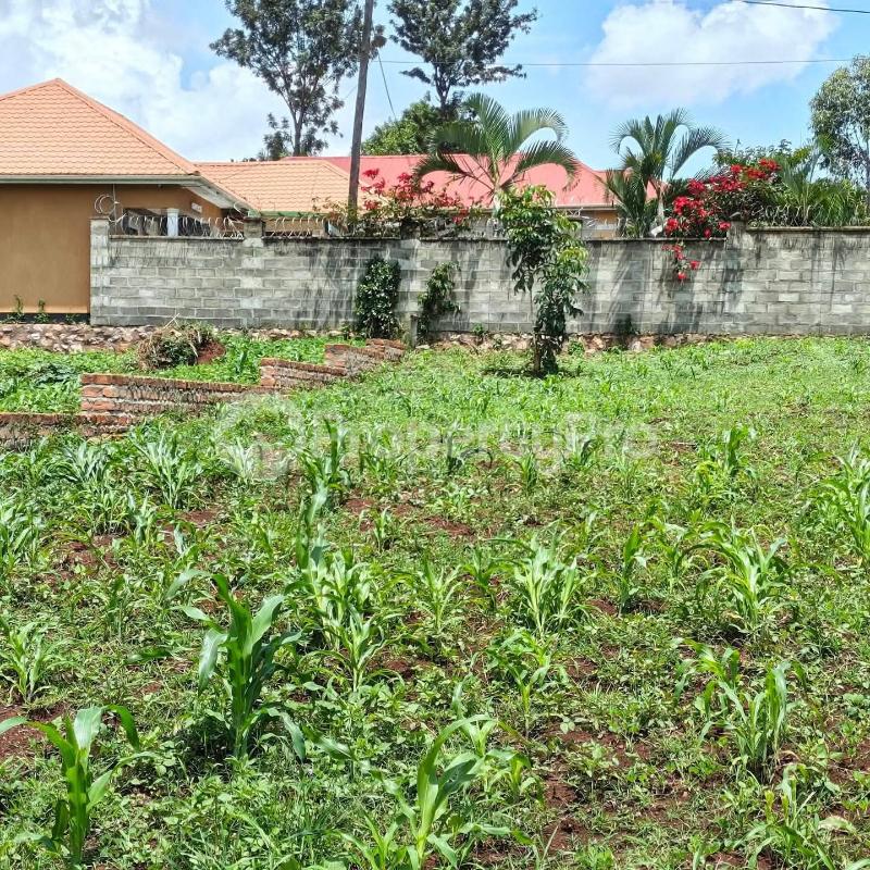 Land for sale Seeta bajjo Goma Mukono Central - 0