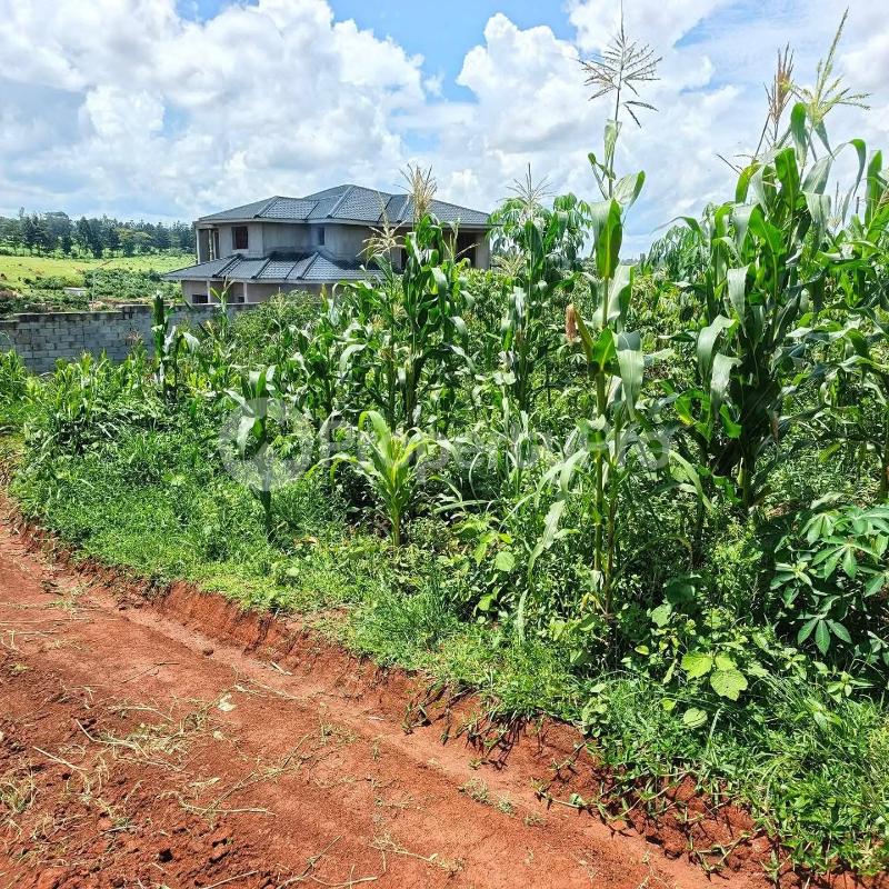 Land for sale Seeta bajjo Goma Mukono Central - 2