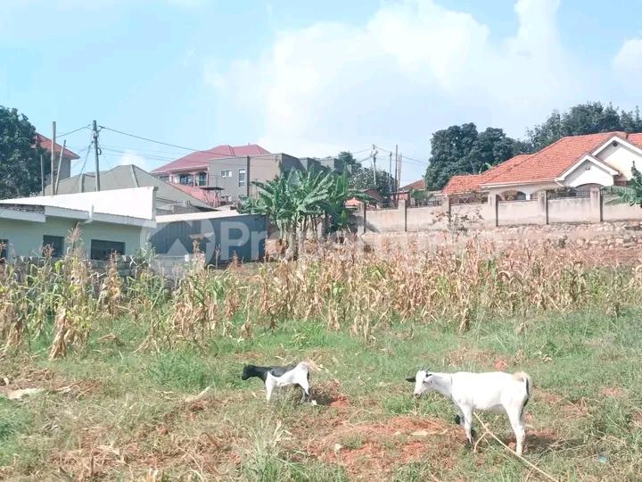 Land for sale Naalya road  Kampala Central Kampala Central - 0