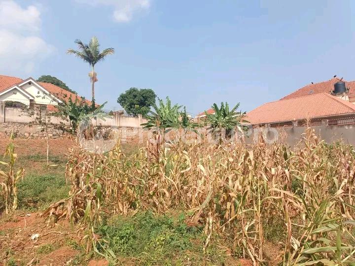 Land for sale Naalya road  Kampala Central Kampala Central - 1