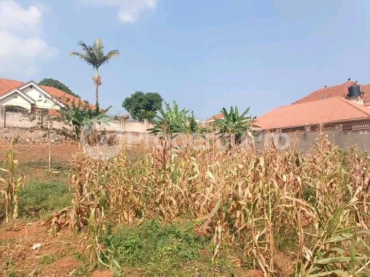 Land for sale Naalya road  Kampala Central Kampala Central - 2