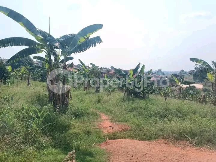 Land for sale Seeta lumuli  Wakiso Central - 4