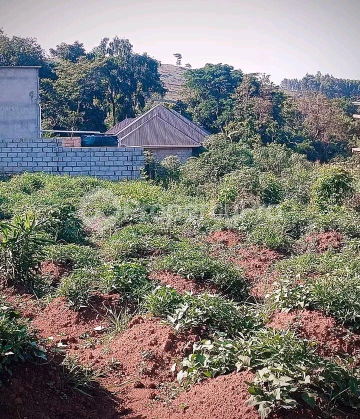 Land for sale Namugongo  Kampala Central - 2