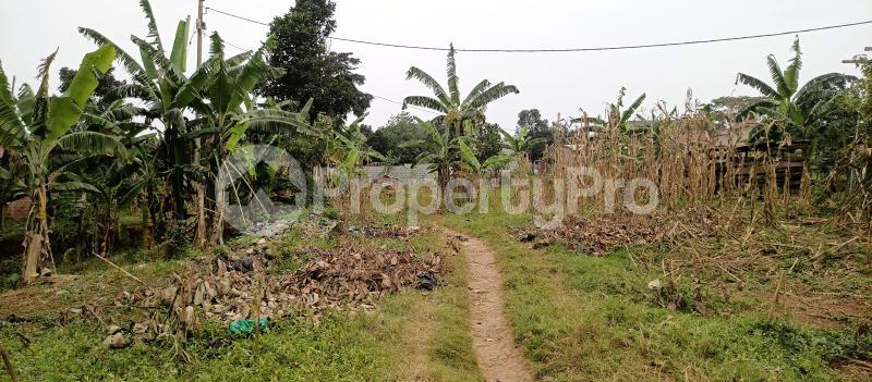 Land for sale Namugongo road Kira Wakiso Central - 2