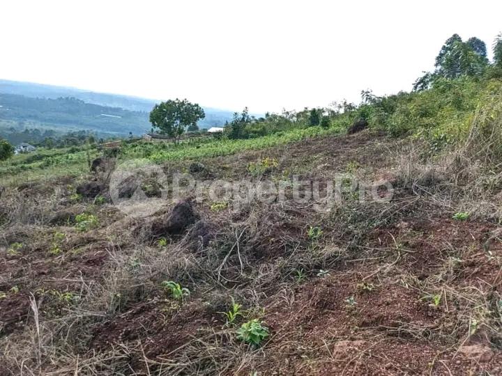 Land for sale Seeta mukono  Kampala Central Kampala Central - 2