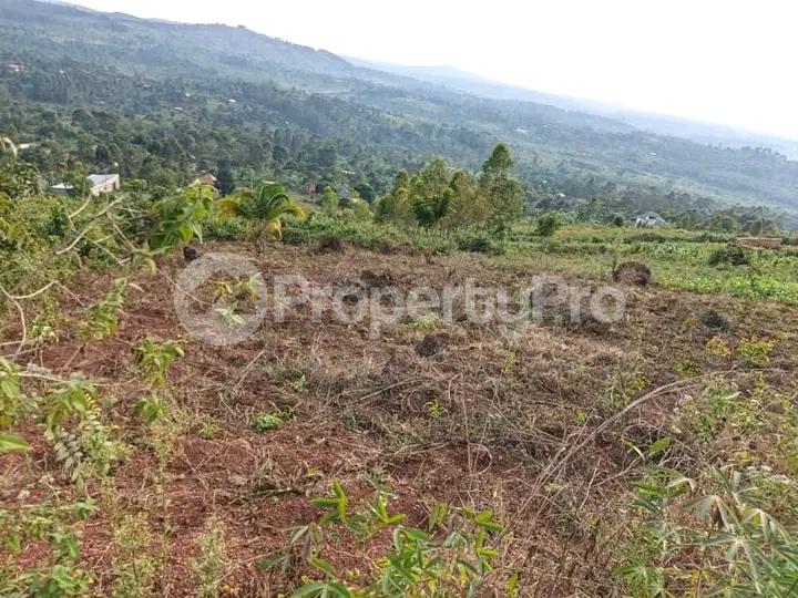 Land for sale Seeta mukono  Kampala Central Kampala Central - 0