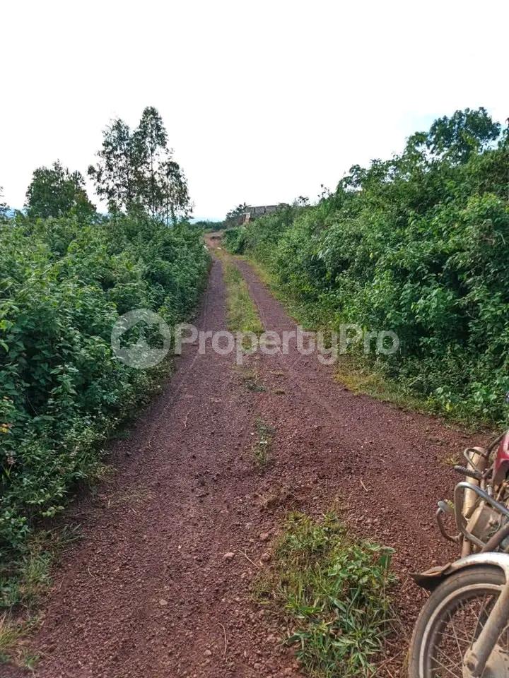 Land for sale Seeta mukono  Kampala Central Kampala Central - 2