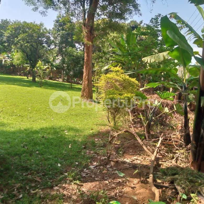 Land for sale Mbuya mutungo hill Kampala Central Kampala Central - 5