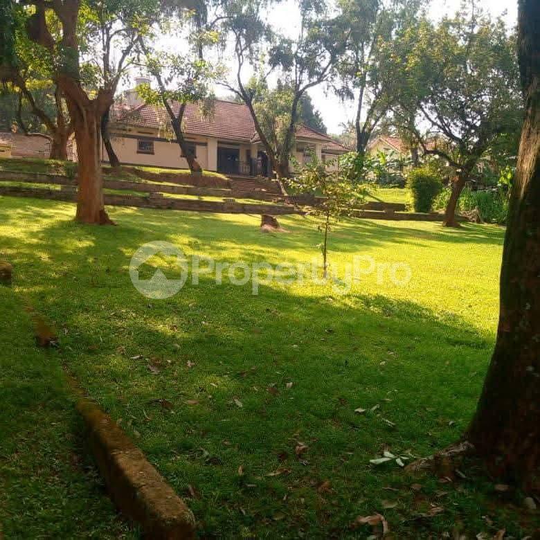Land for sale Mbuya mutungo hill Kampala Central Kampala Central - 0