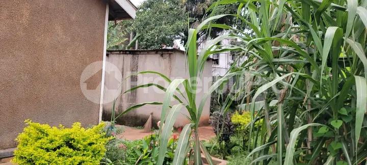 Land for sale Ntinda road  Kampala Central - 4