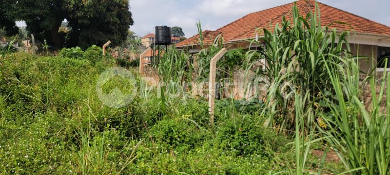 Land for sale Ntinda Kigowa Kampala Central - 3