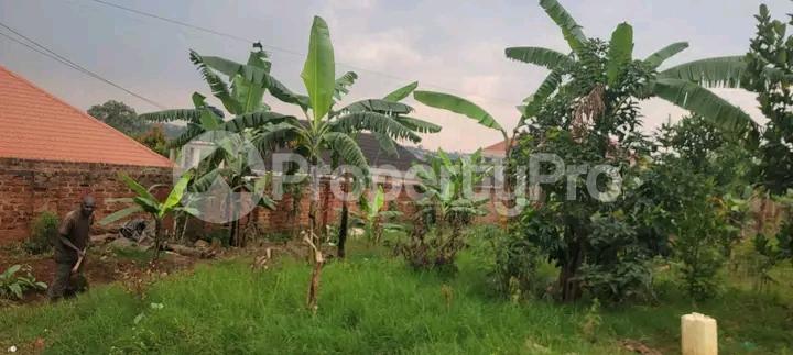 Land for sale Najjera buwaate  Kampala Central - 2