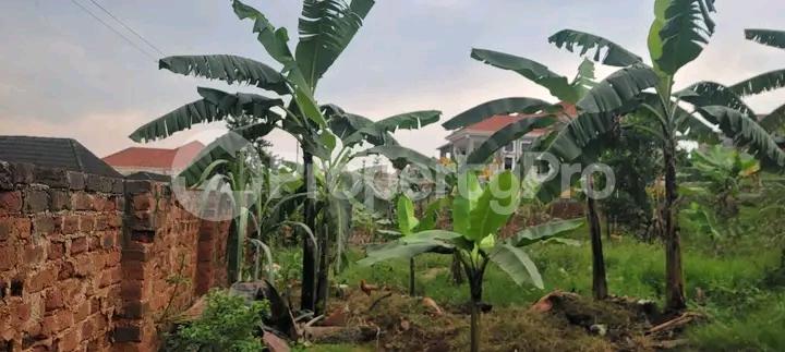 Land for sale Najjera buwaate  Kampala Central - 0