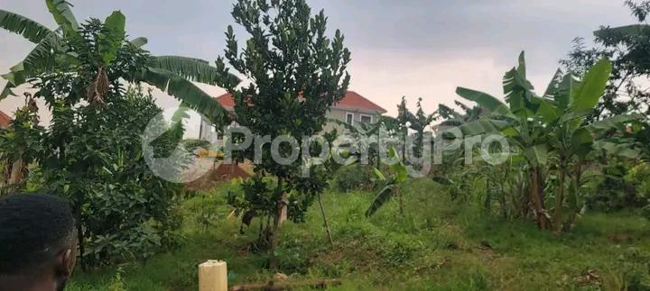 Land for sale Najjera buwaate  Kampala Central - 7