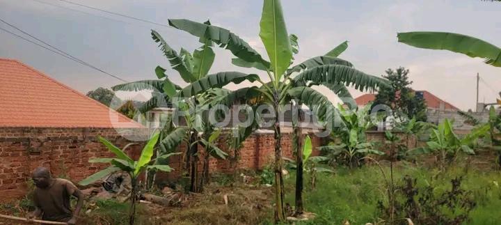 Land for sale Najjera buwaate  Kampala Central - 4