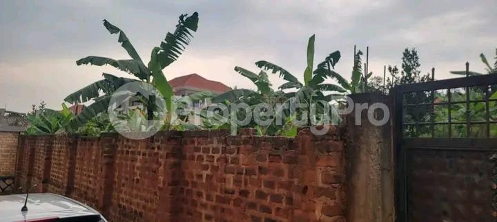 Land for sale Najjera buwaate  Kampala Central - 3