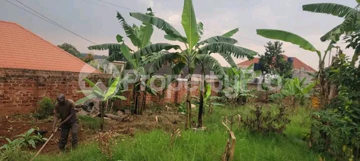 Land for sale Najjera buwaate  Kampala Central - 6
