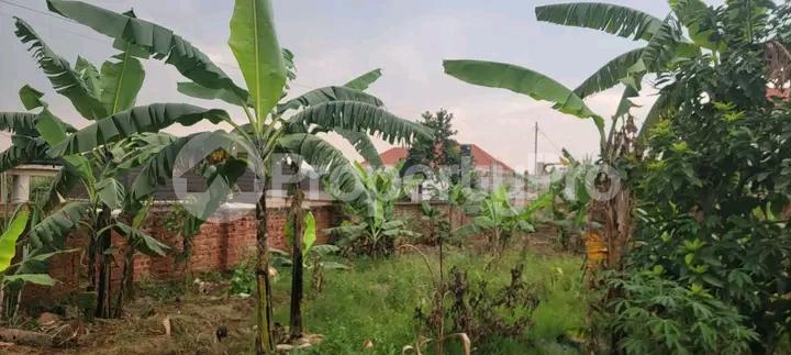 Land for sale Najjera buwaate  Kampala Central - 5
