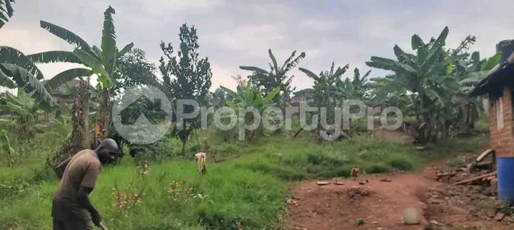 Land for sale Najjera buwaate  Kampala Central - 1