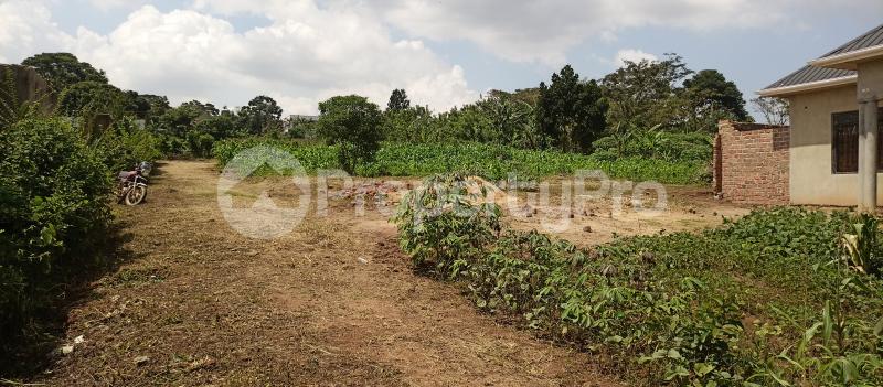 Land for sale Seeta town namugongo road  Goma Mukono Central - 5