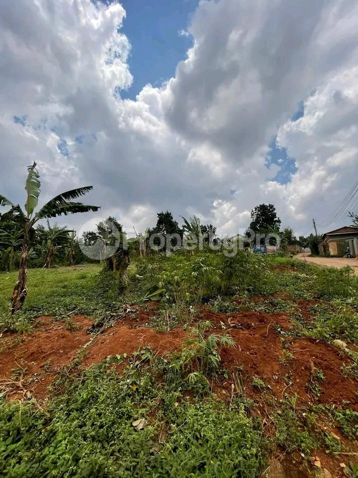 Land for sale Najjera Road  Kampala Central - 1
