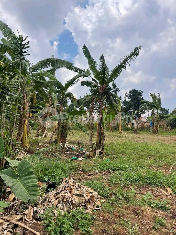 Land for sale Najjera Road  Kampala Central - 0