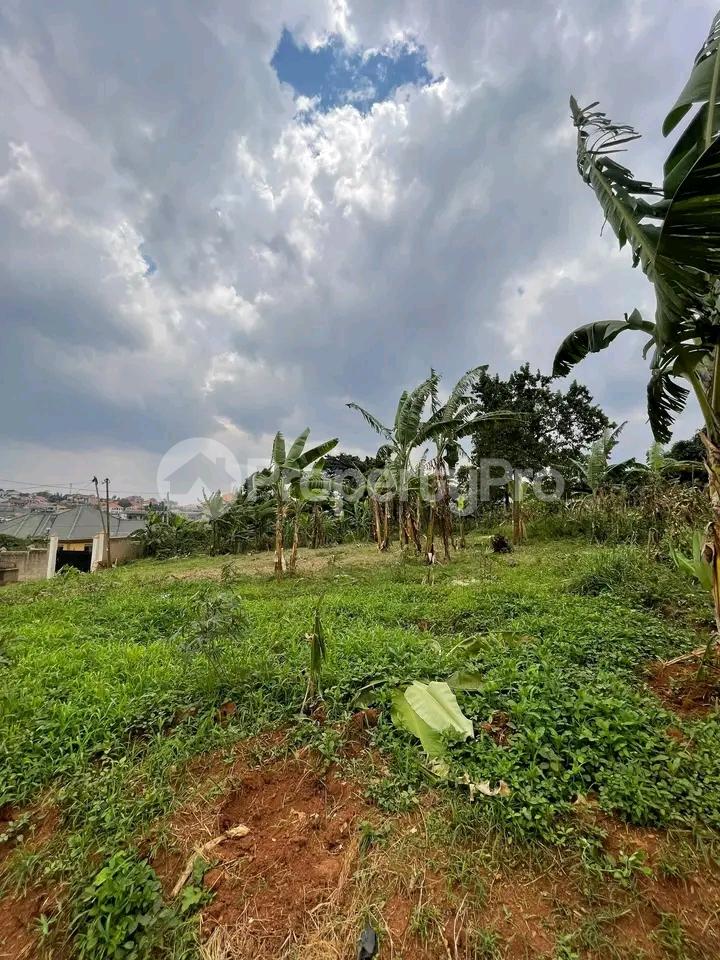 Land for sale Najjera Road  Kampala Central - 6
