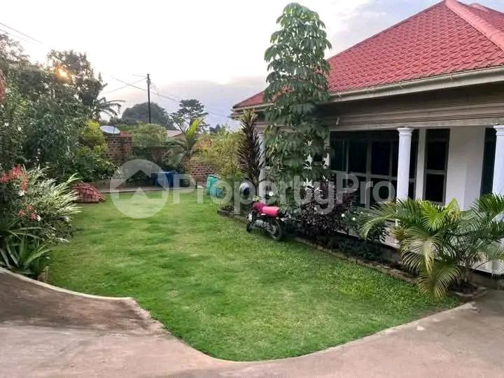 3 bedroom Bungalow Apartment for sale Mukono Nkowe  Mukono Central - 3