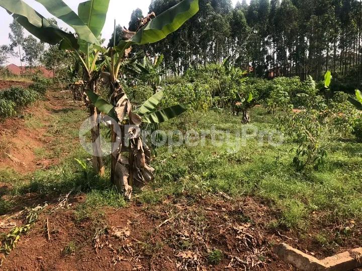 Land for sale Kampala Central Kampala Central - 2