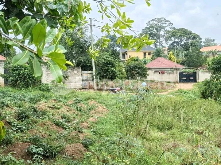 Land for sale Seeta bajjo Kampala Central - 4