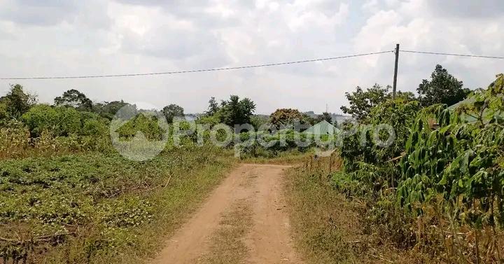 Land for sale Gayaza ddundu Kampala Central Kampala Central - 1