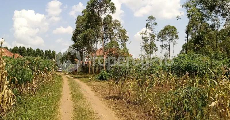 Land for sale Gayaza road ddundu  Kalagala Mukono Central - 5