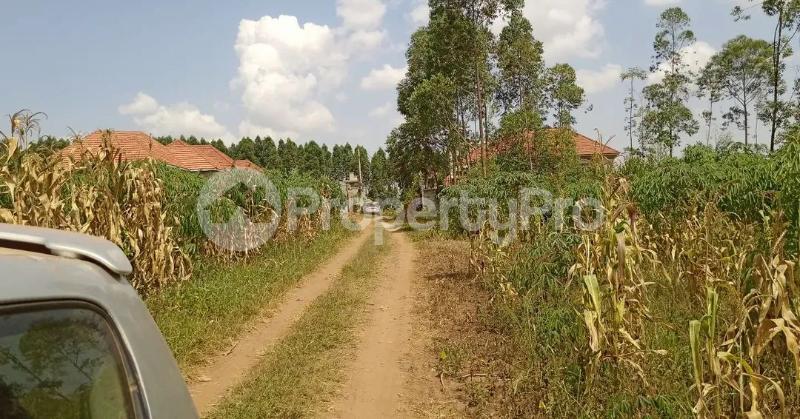 Land for sale Gayaza road ddundu  Kalagala Mukono Central - 4