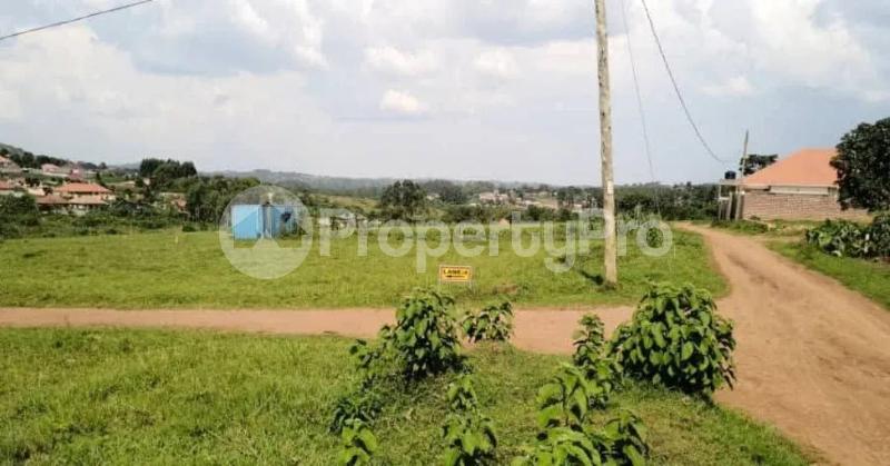 Land for sale Kira nakwero  Kira Wakiso Central - 3