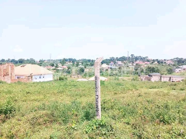 Land for sale Namugongo road  Kampala Central Kampala Central - 5