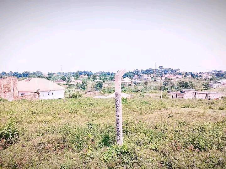 Land for sale Namugongo road  Kampala Central Kampala Central - 6