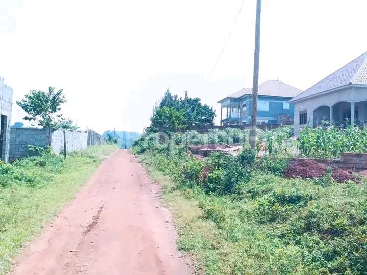 Land for sale Namugongo road  Kampala Central Kampala Central - 2