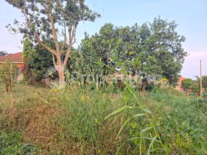 Land for sale Namugongo road  Kampala Central Kampala Central - 3