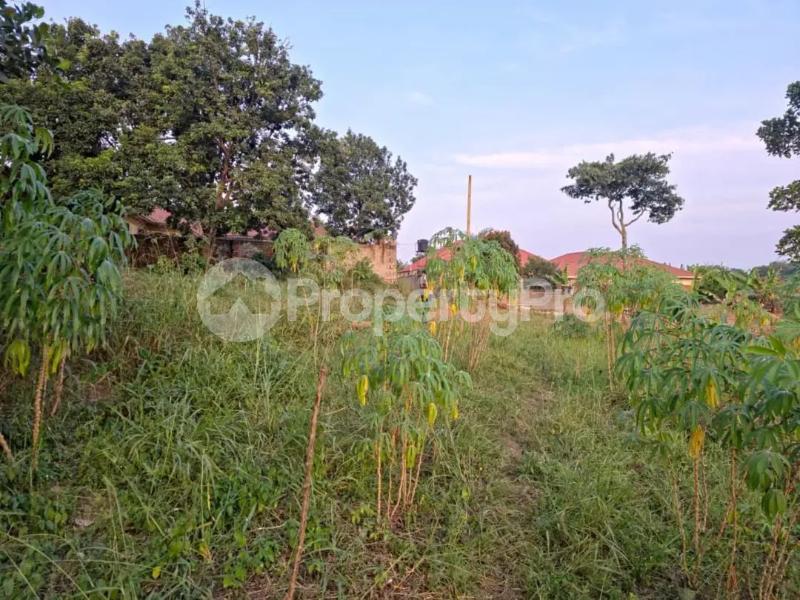 Land for sale Namugongo town  Kira Wakiso Central - 5