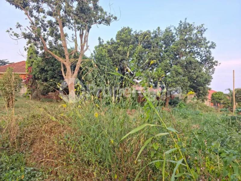 Land for sale Namugongo town  Kira Wakiso Central - 3
